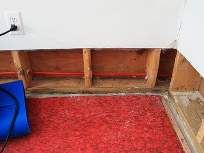 Professional carpet cleaning san jose ca services in San Jose